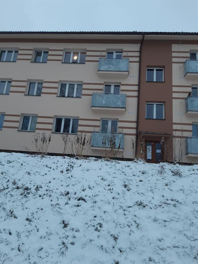 Apartmán u Kunštátského mlýna Apartamento Orlicke Zahori Exterior foto